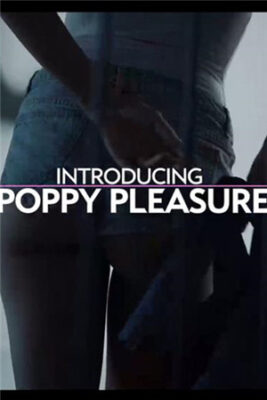 Poppy Pleasure-下課後的兼職 (唯美，美腿)